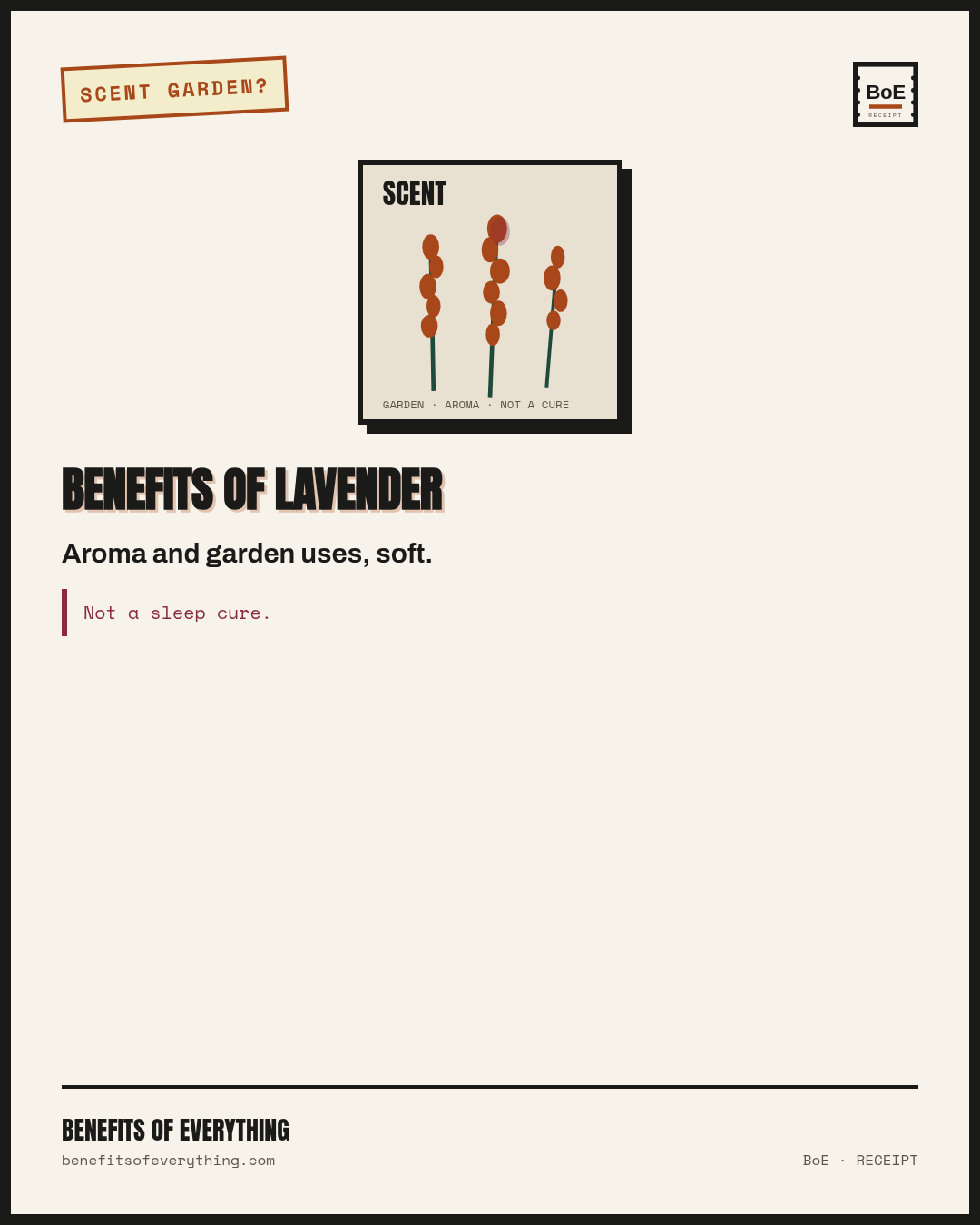 Lavender — scent & garden uses, soft claims only receipt — Culinary buds and garden scent — pleasant aroma, no sleep Rx.