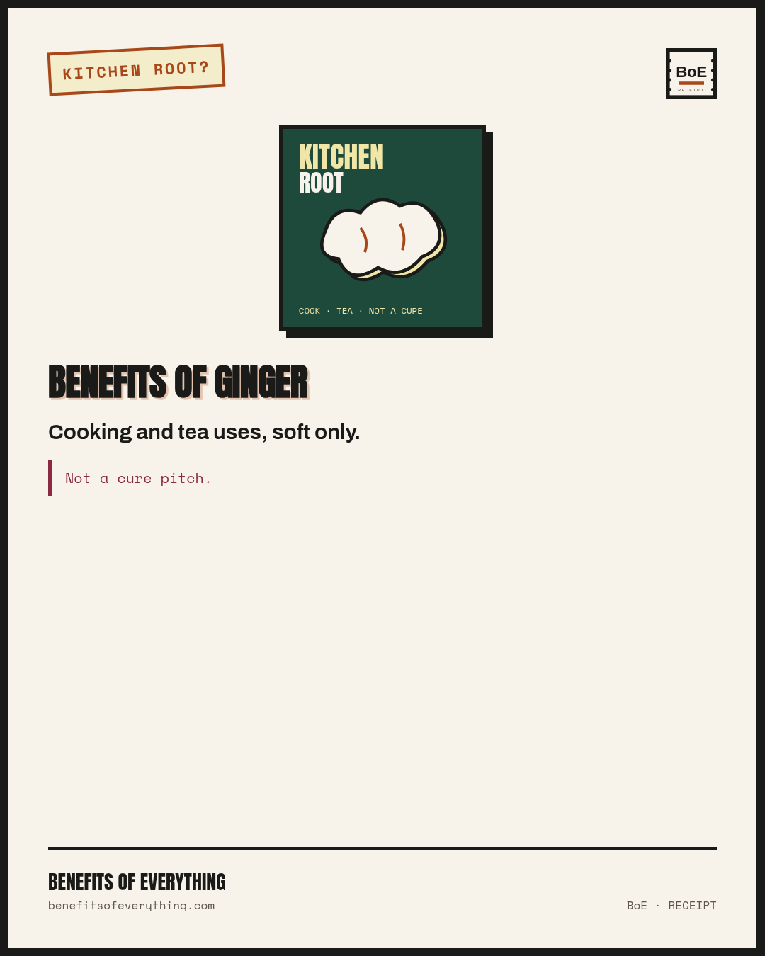 Ginger — fresh knob for this week’s pan and tea receipt — Fresh knobs for aroma and heat — tea as a pleasant ritual.